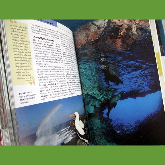 Book: Ecuador & Galapagos - Travel Guide - Picture 3 of 16